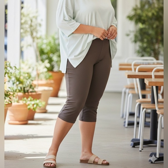 J. Jill Pants - NWT Pure Jill Slim Leg Cropped Pants Brown High Rise Size 3X(US 24) Pull On